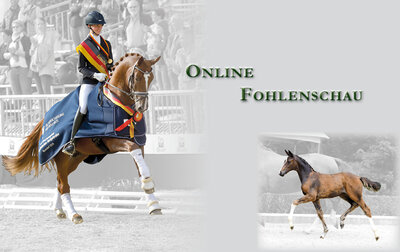 Online-Fohlenschau